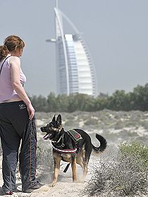 chien �leveurs chiens photos